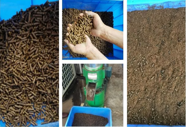 垃圾“圍城” ，易腐垃圾資源化處理成為突破口